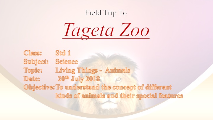 Zoo Slide1