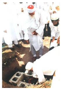 moula performing tasis